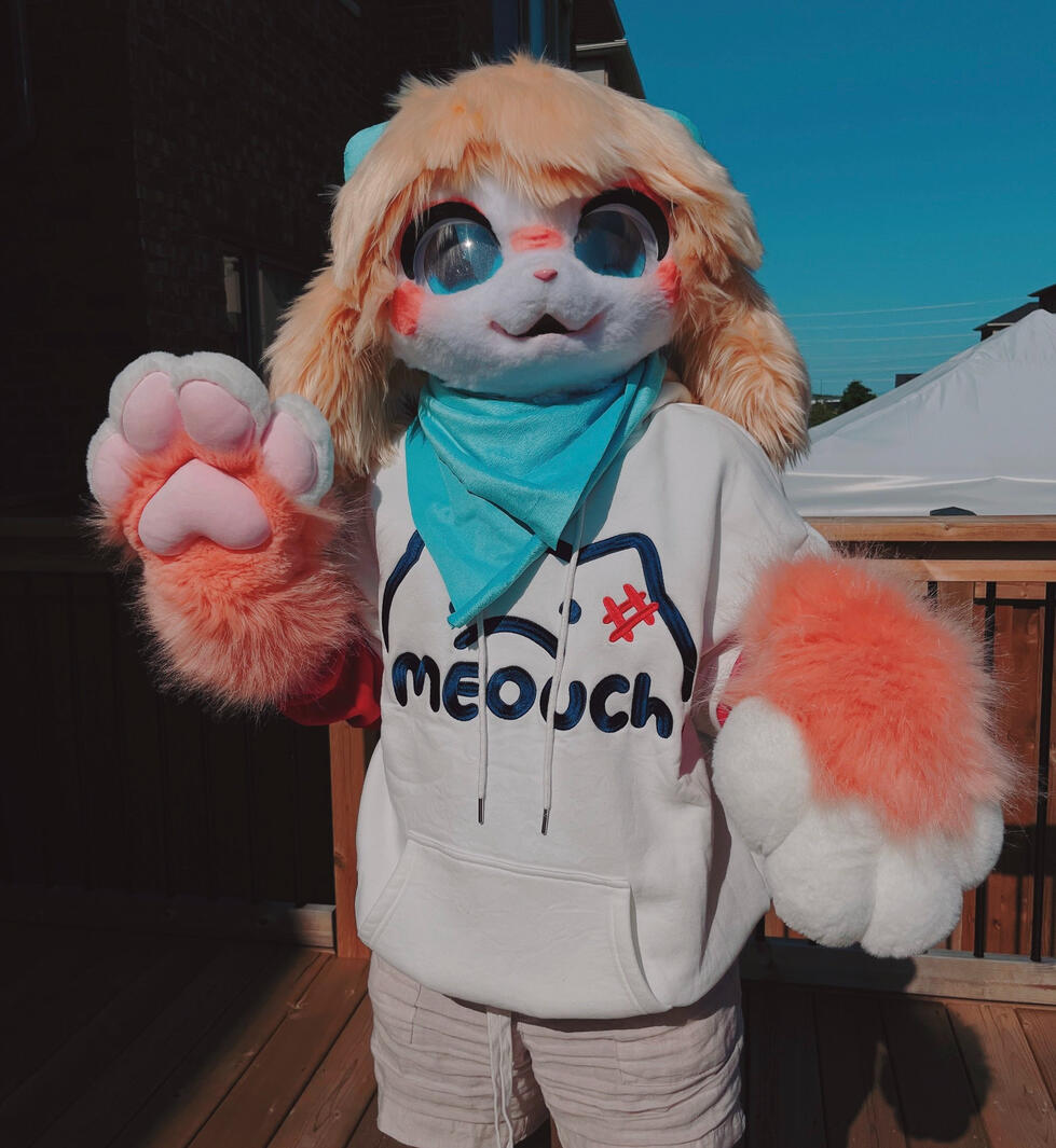 meouch hoodie